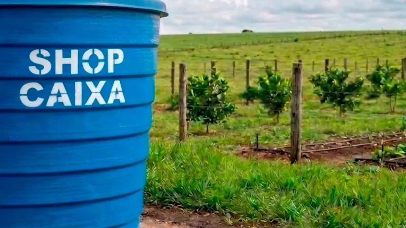 Reserva para seca: como aproveitar o período chuvoso